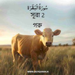 Surah 2 - البَقَرَة