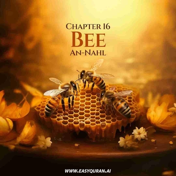 Surah 16 - An-Naḥl