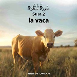 Surah 2 - البَقَرَة