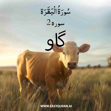 Surah 2 - Al-Fatihah