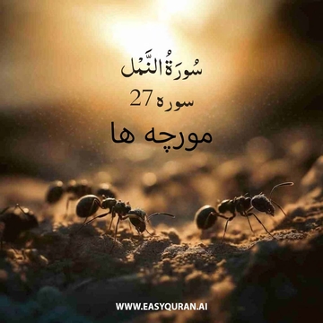 Surah 27 - النَّمل