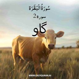 Surah 2 - البَقَرَة
