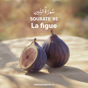 Surah 95 - التِّين