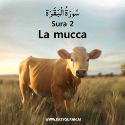 Surah 2 - البَقَرَة