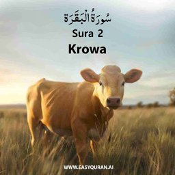 Surah 2 - البَقَرَة