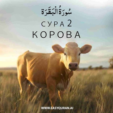 Surah 2 - Al-Fatihah