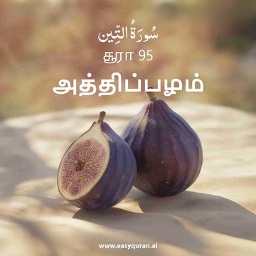 Surah 95 - التِّين