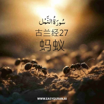 Surah 27 - النَّمْل